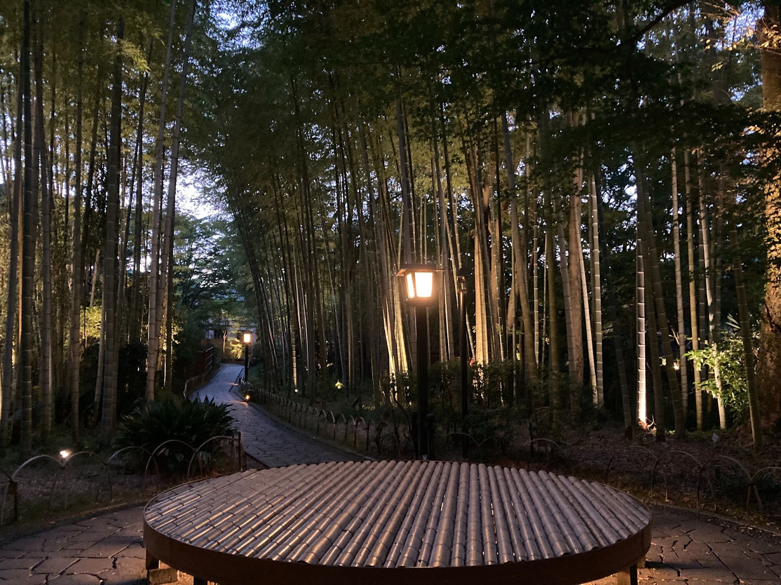 竹林の小径