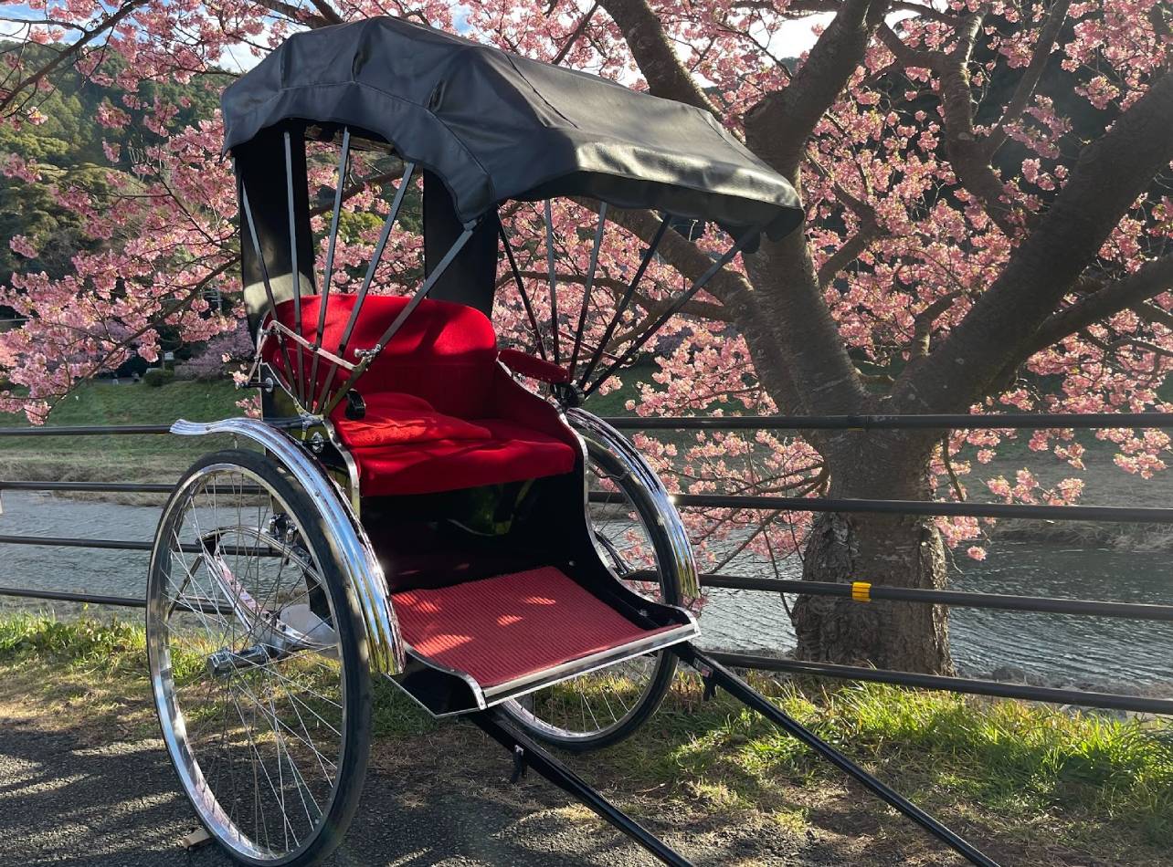お花見人力車