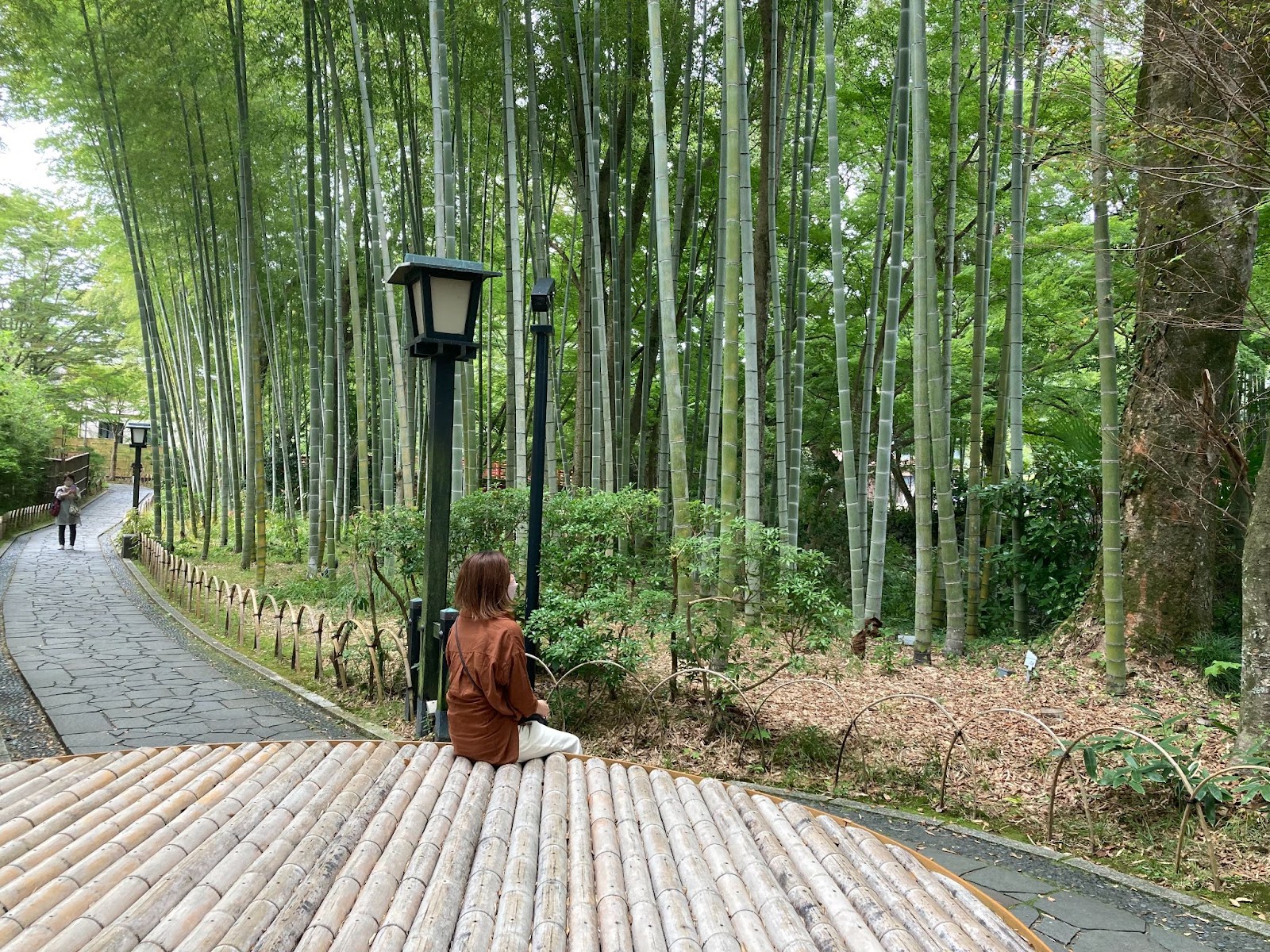 竹林の小径2