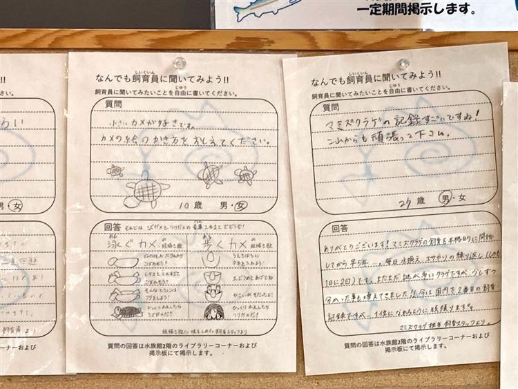 森の中の水族館9