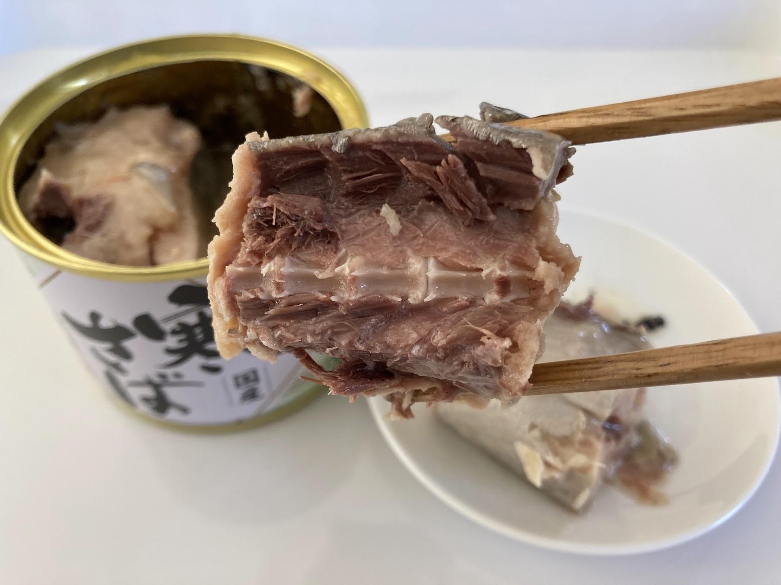 犬吠テラステラス19