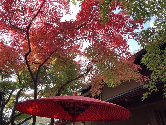 箱根美術館15 