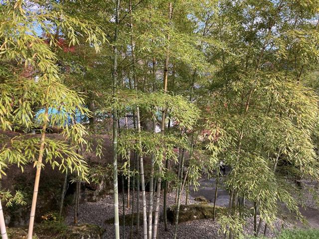 箱根美術館6