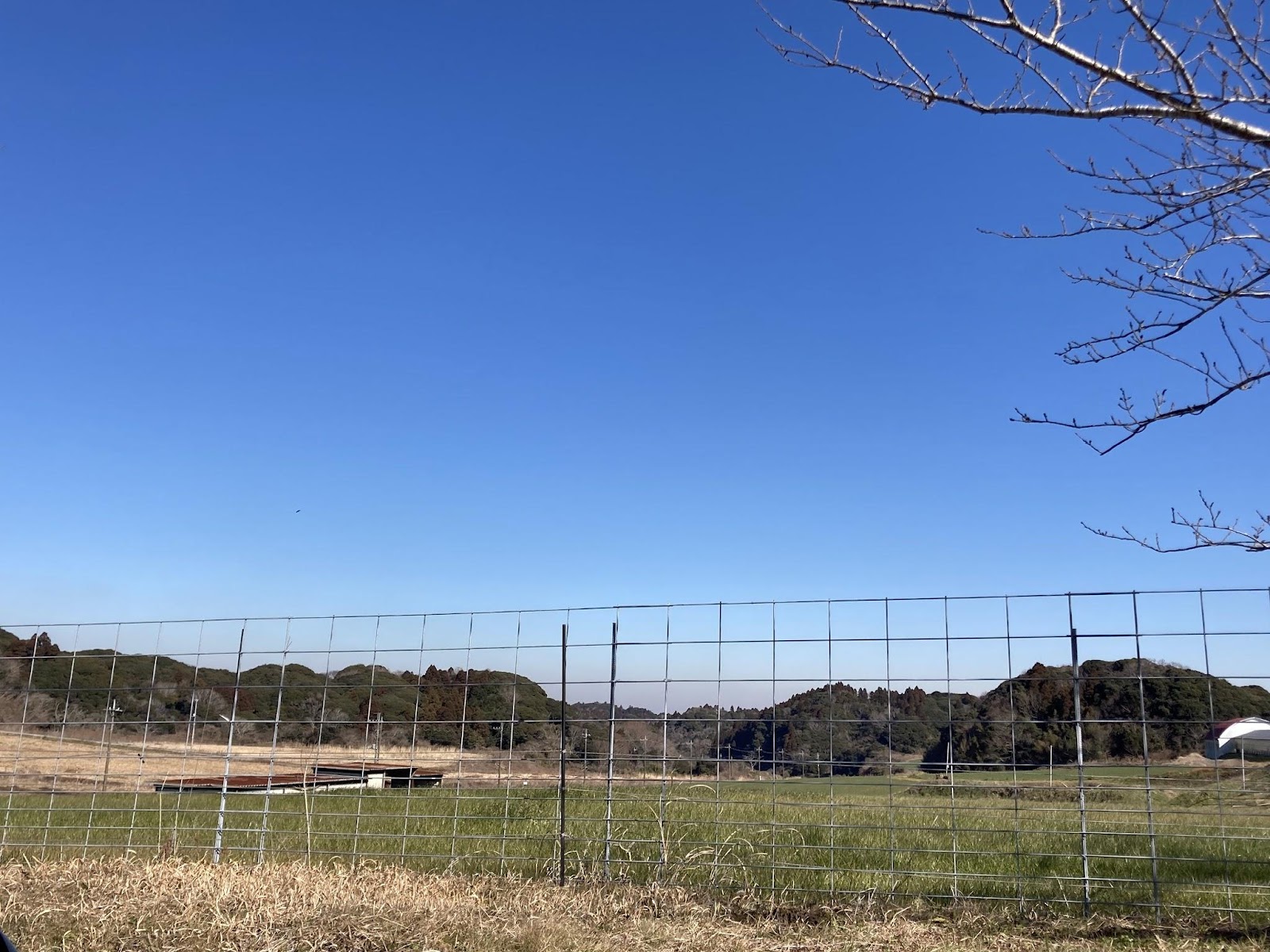 高秀牧場