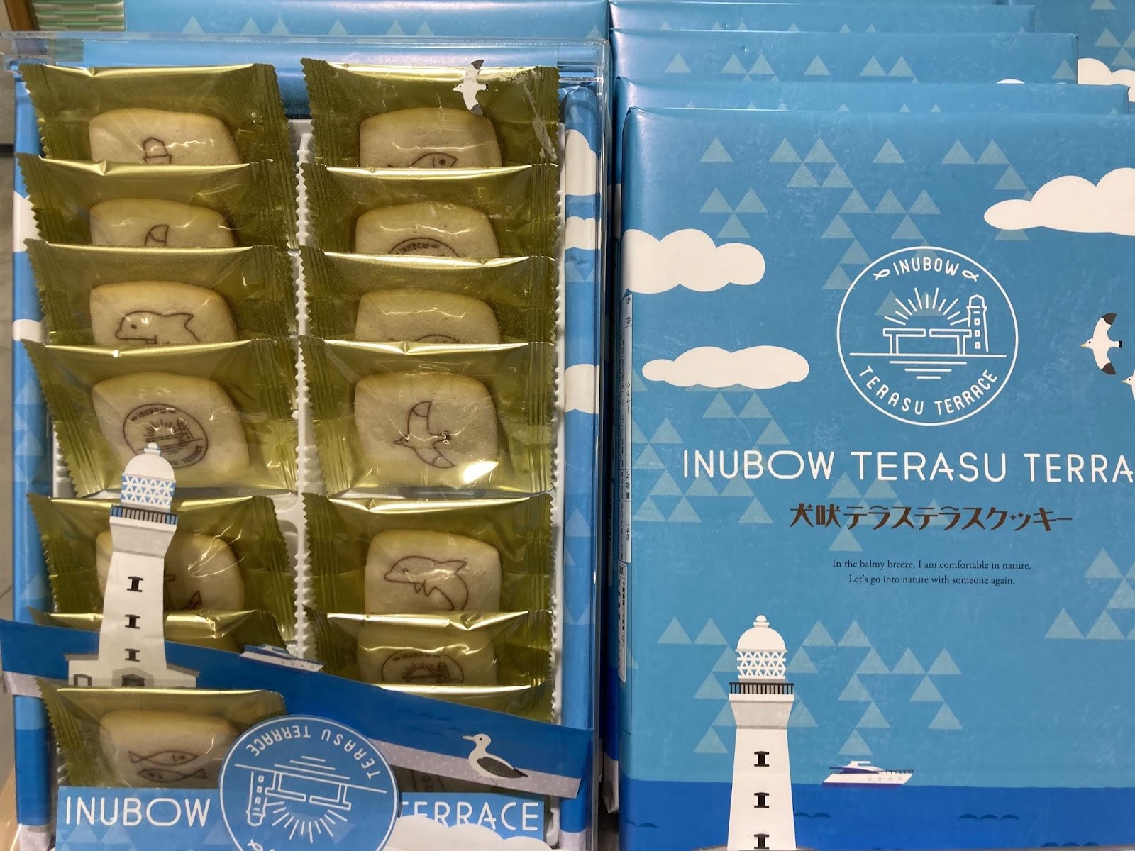 犬吠テラステラス23