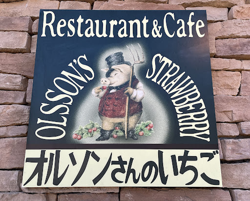 オルソンさんのいちご1