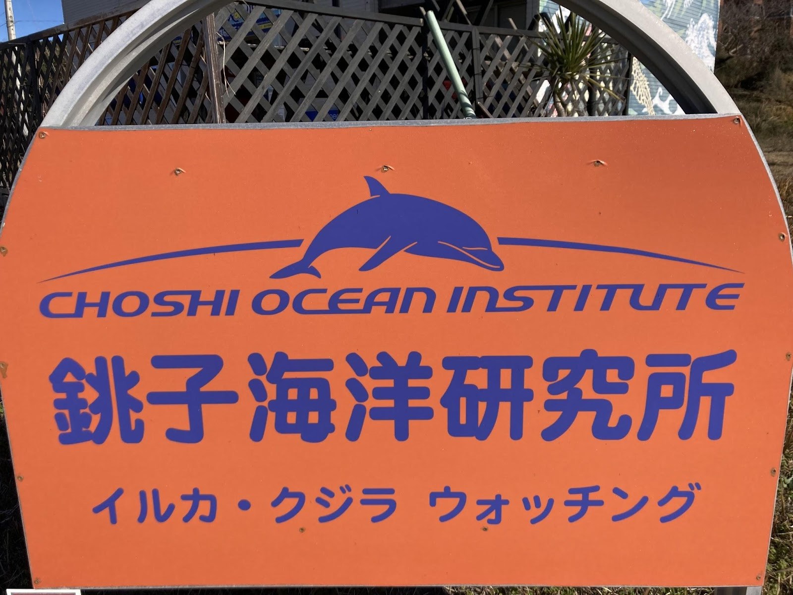 世界一ちっちゃな水族館10