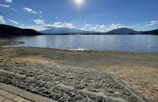 オルソンさんのいちご8