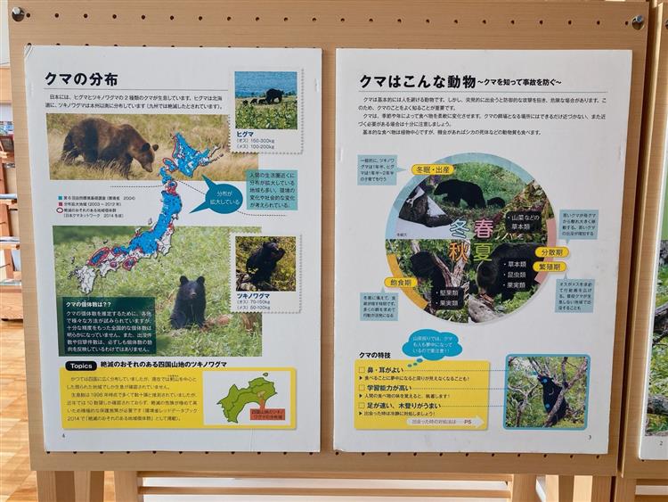 箱根ビジターセンター魅力