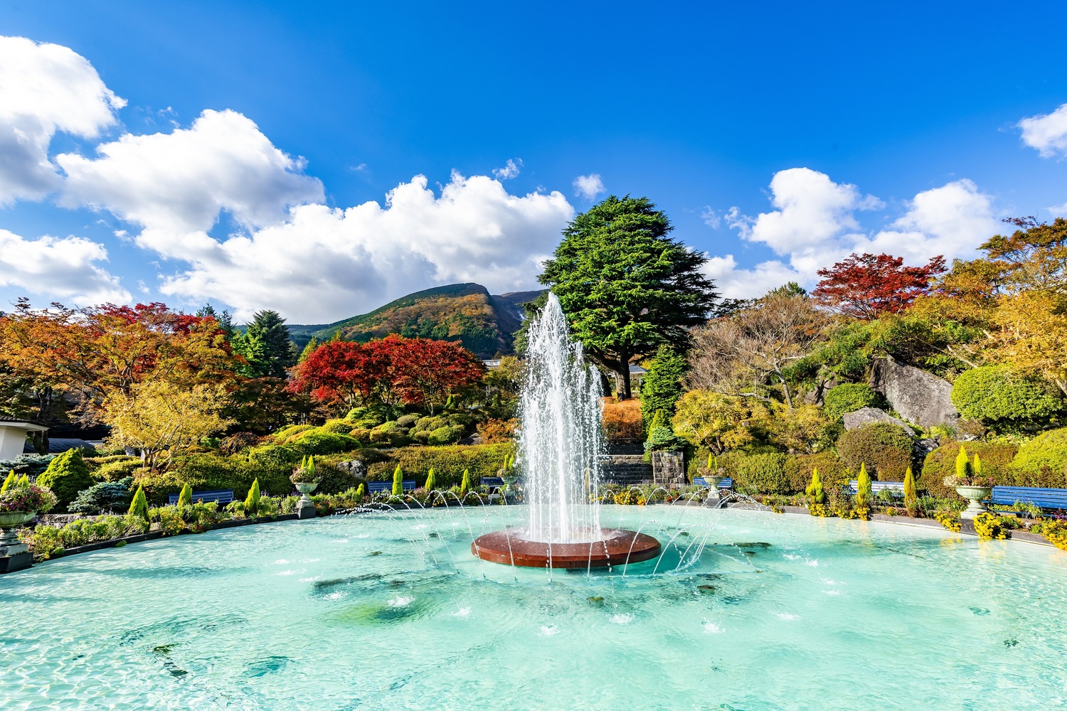 箱根強羅公園