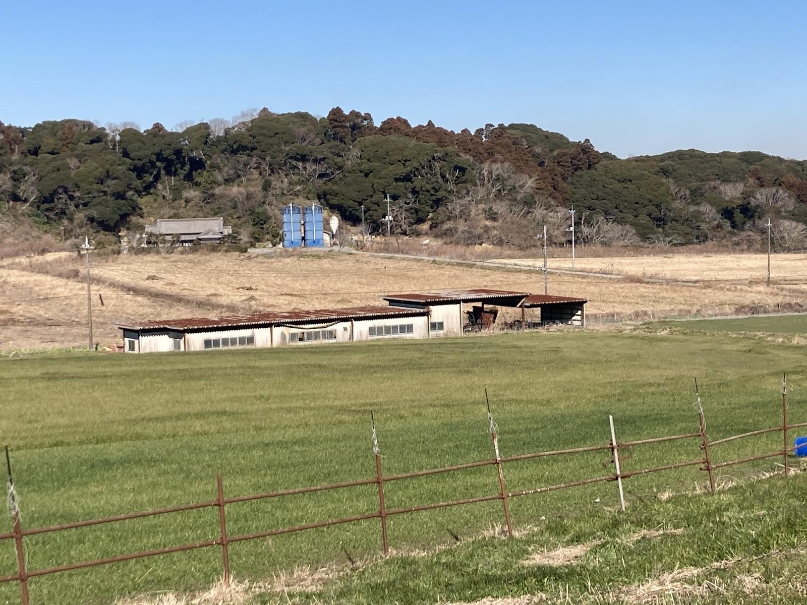 高秀牧場7