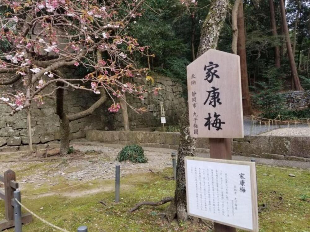 久能山東照宮5
