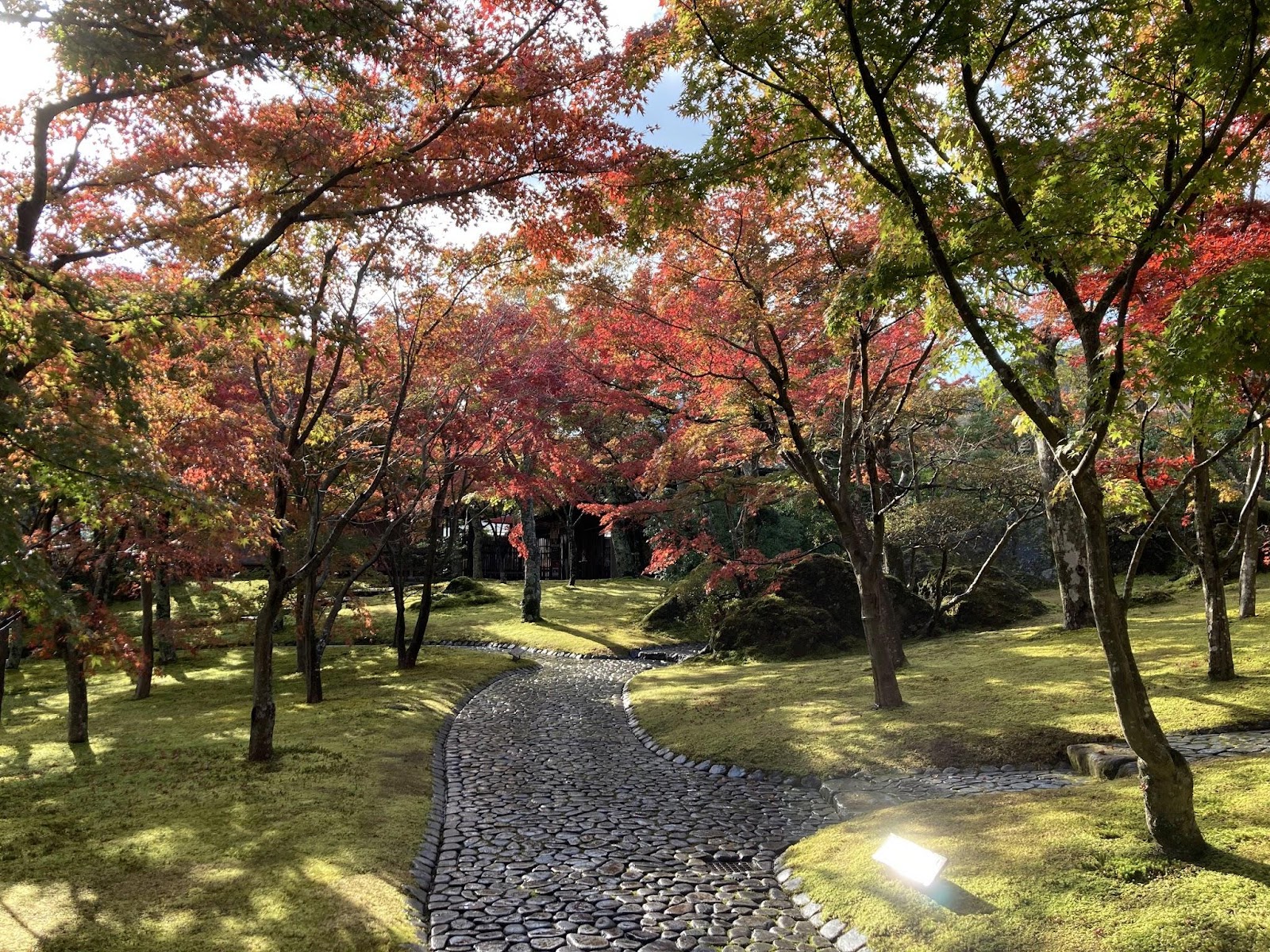 箱根美術館