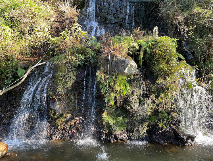 古くから水の信仰を集める、三島の瀧川神社へ滝の浄化パワーを受けに行こう