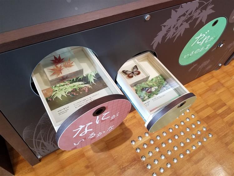 箱根ビジターセンター展示