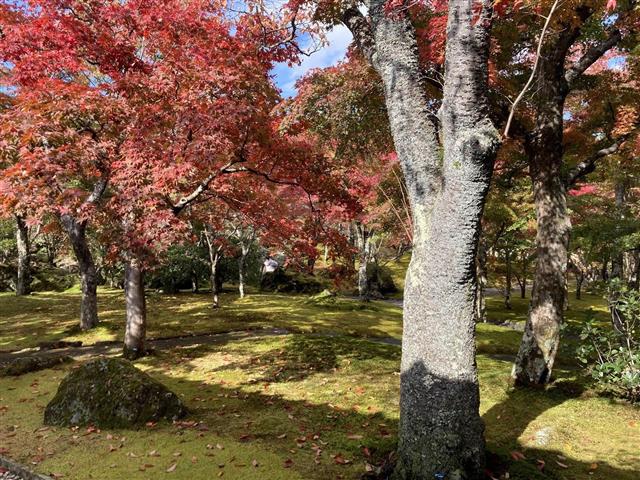 箱根美術館3