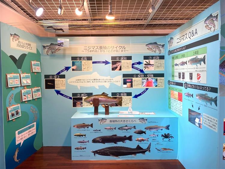 森の中の水族館7