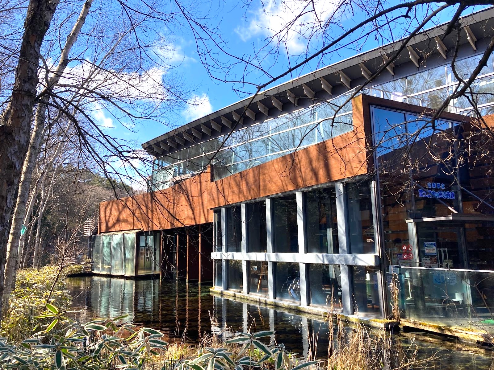森の中の水族館