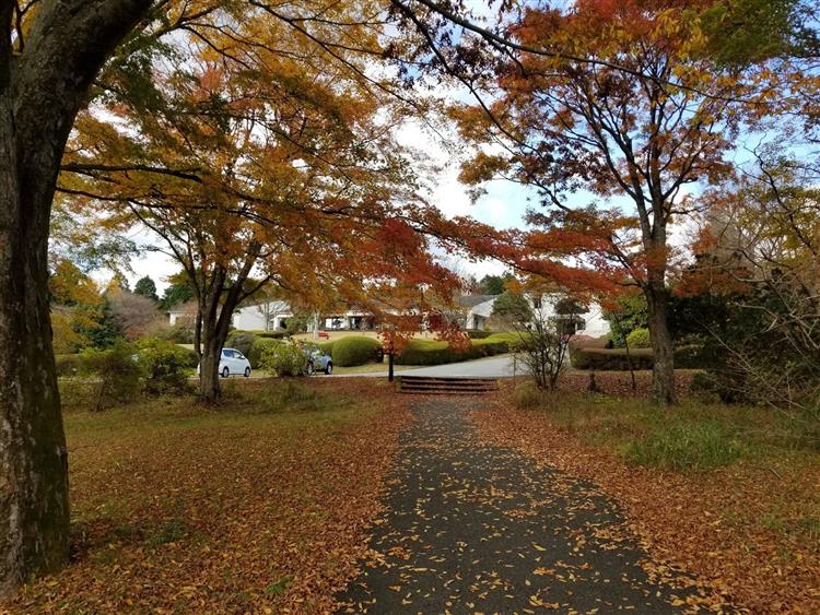 箱根ビジターセンターハイキングコース