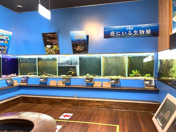 森の中の水族館8