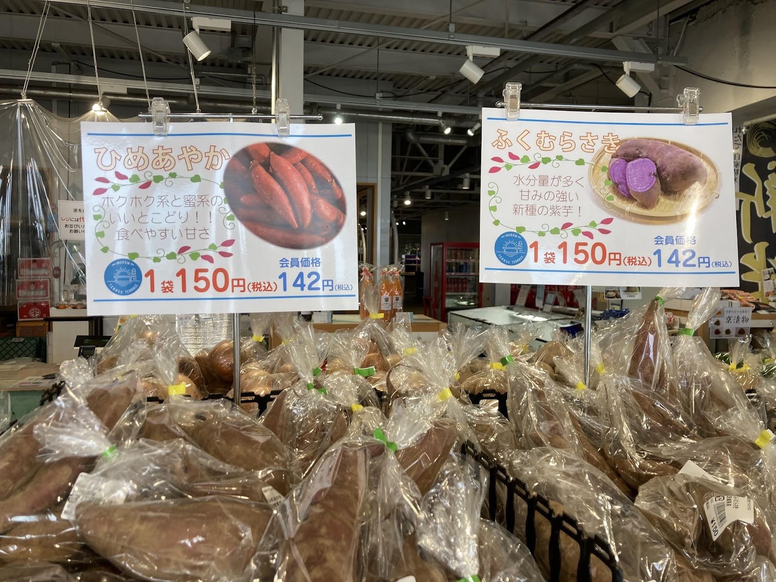 犬吠テラステラス9