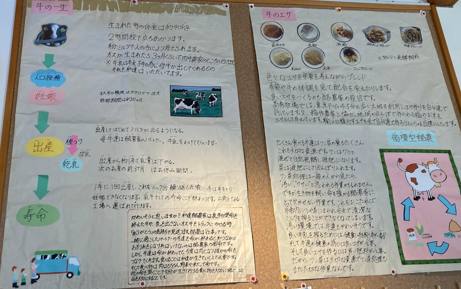 高秀牧場6