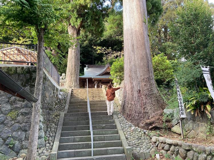 日枝神社4