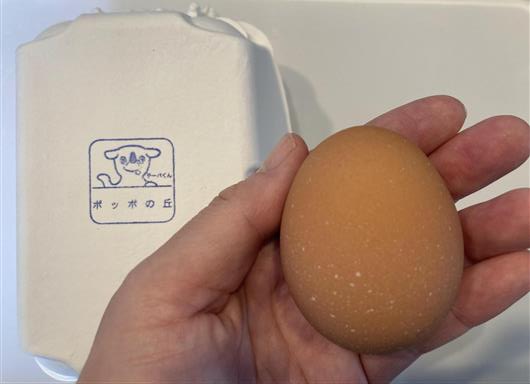 いすみ卵
