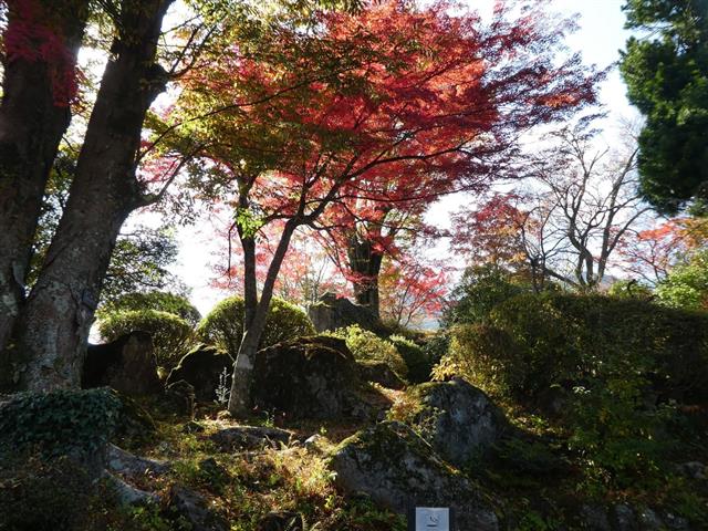 箱根強羅公園2