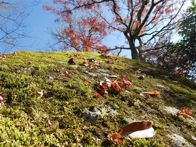 箱根強羅公園3