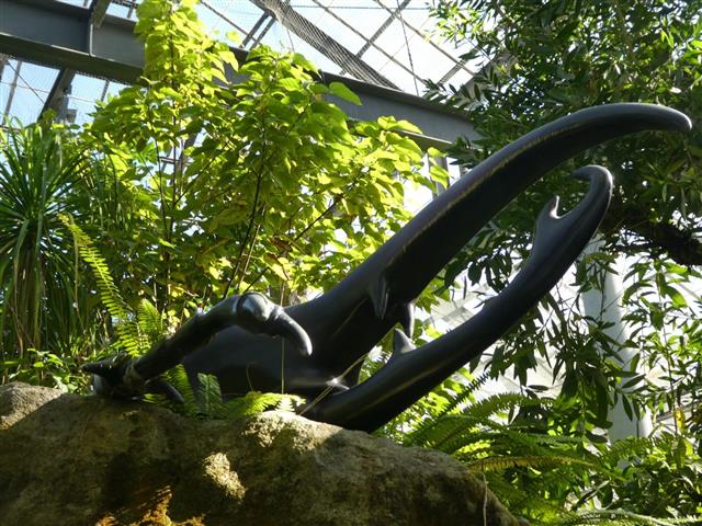 箱根強羅公園9