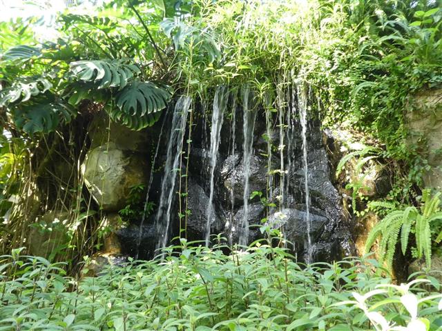 箱根強羅公園10