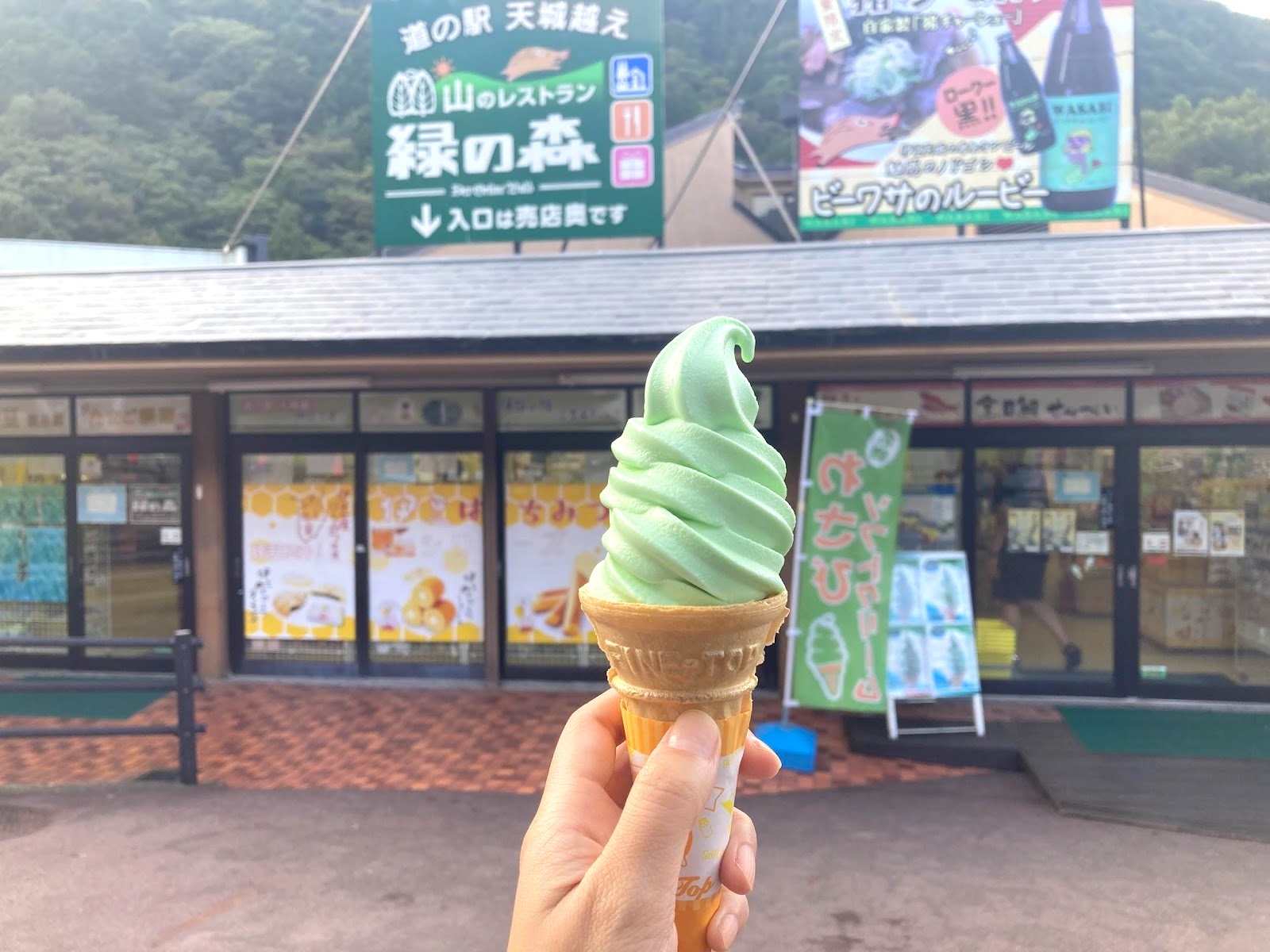 道の駅天城越え