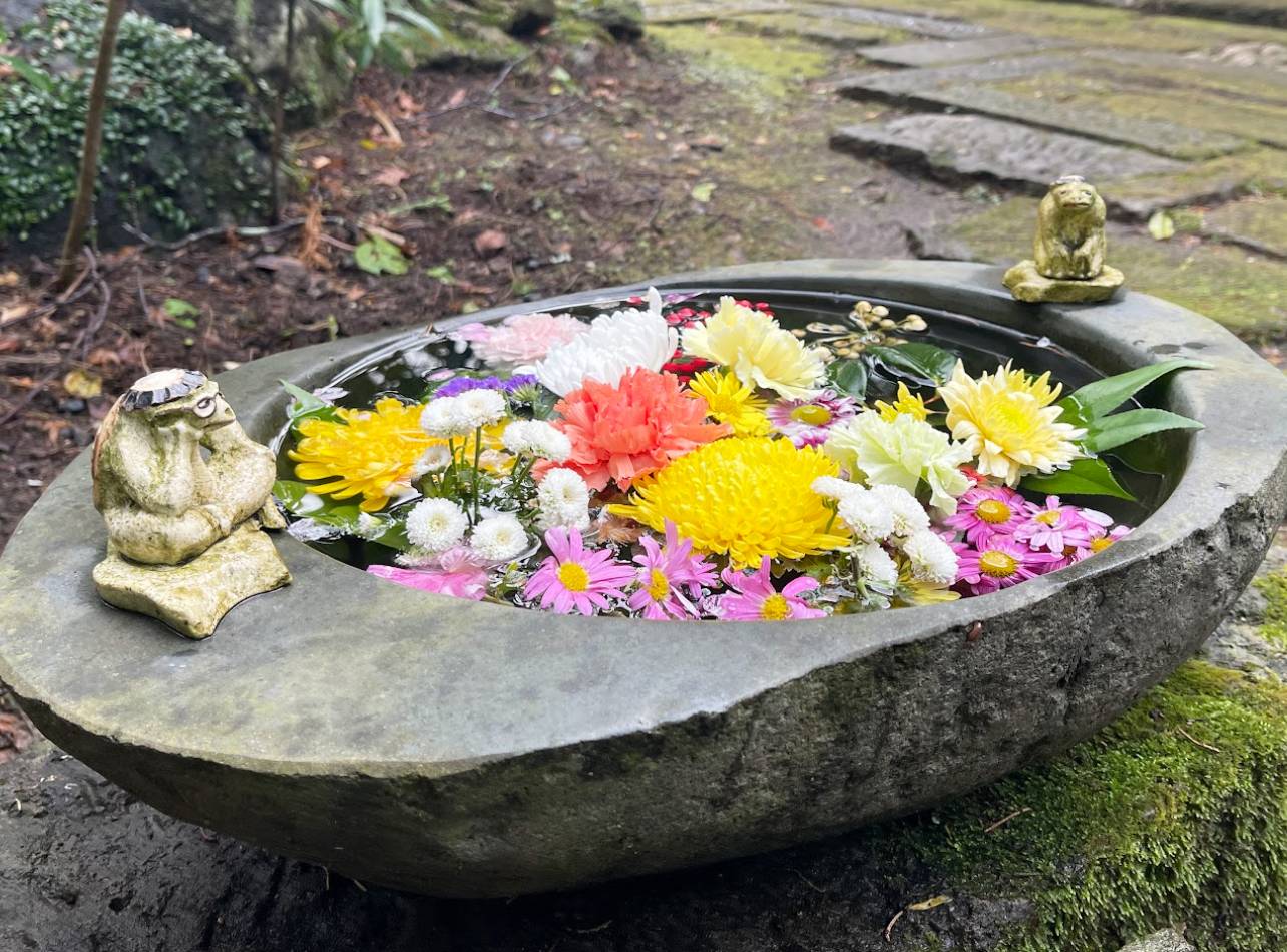 静岡県花手水