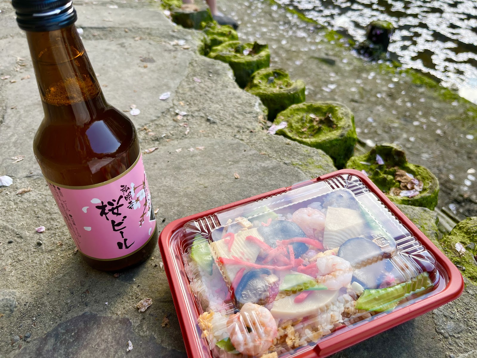 横浜おすすめ穴場花見スポット
