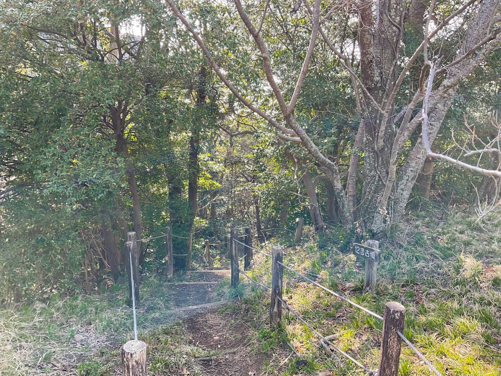 井田地区