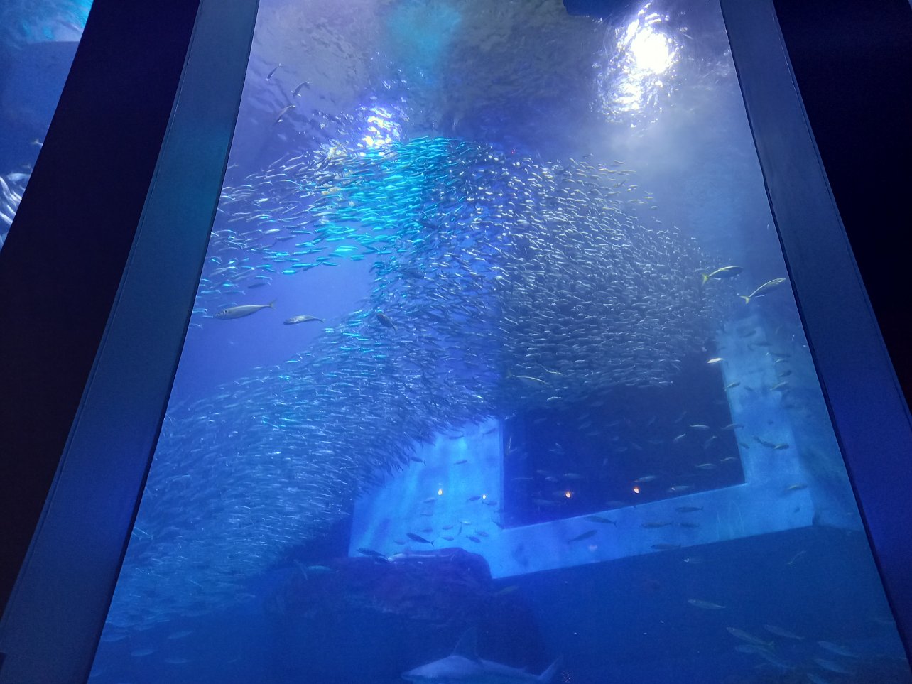 八景島シーパラダイス