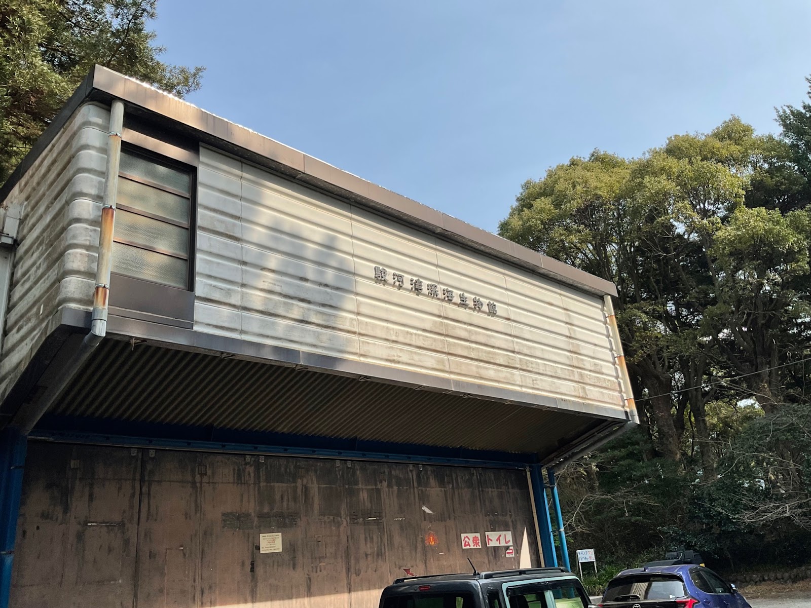 駿河湾深海生物館