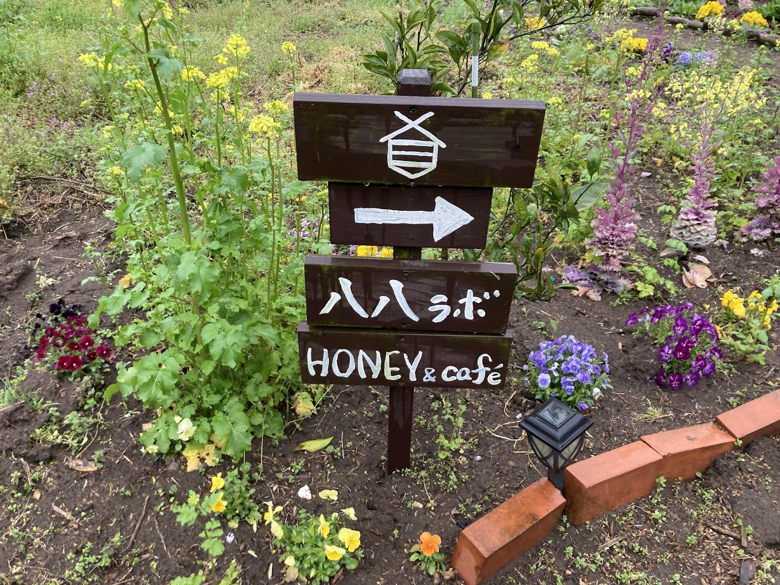 九十九里カフェ