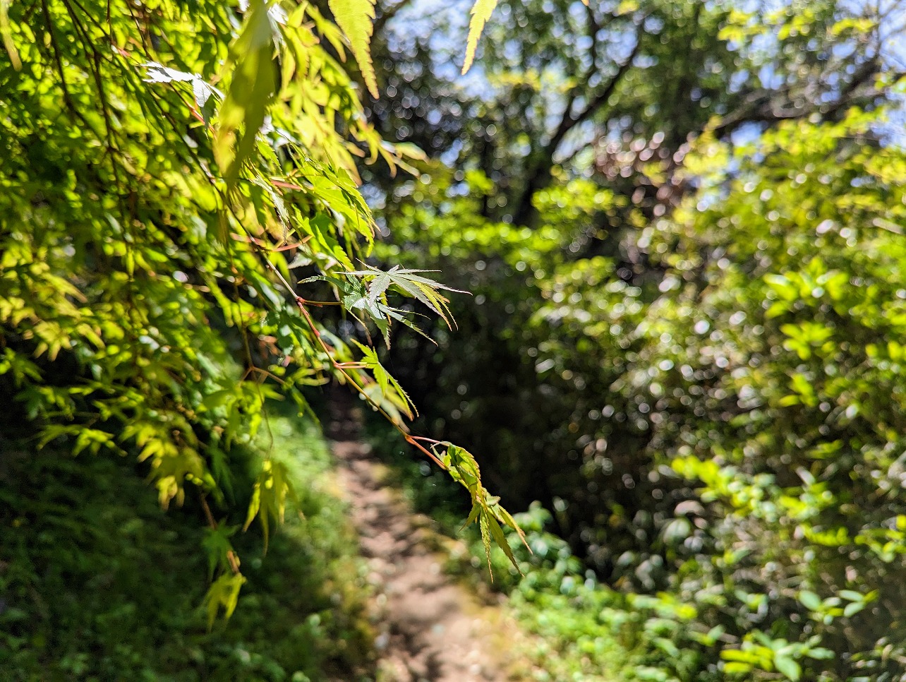 葉山歴史スポット