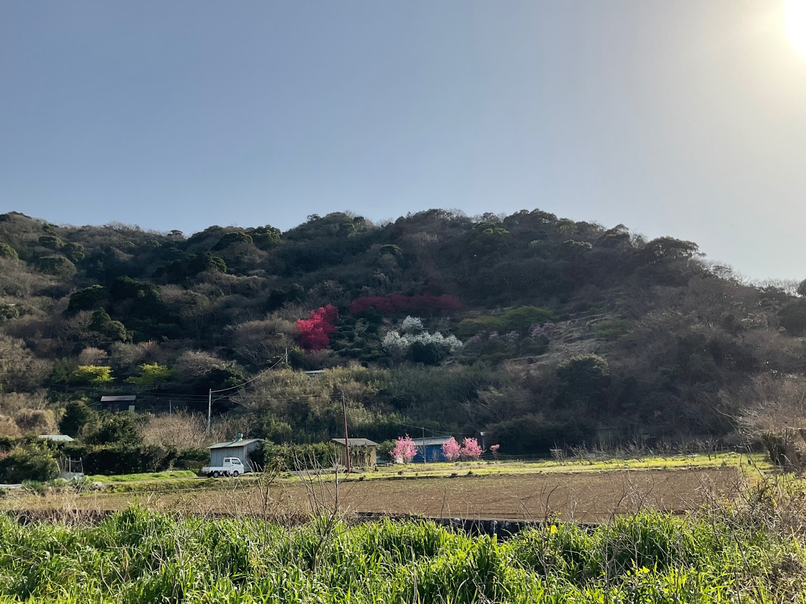 井田地区5