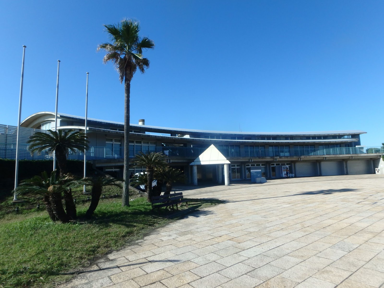 湘南海岸公園3
