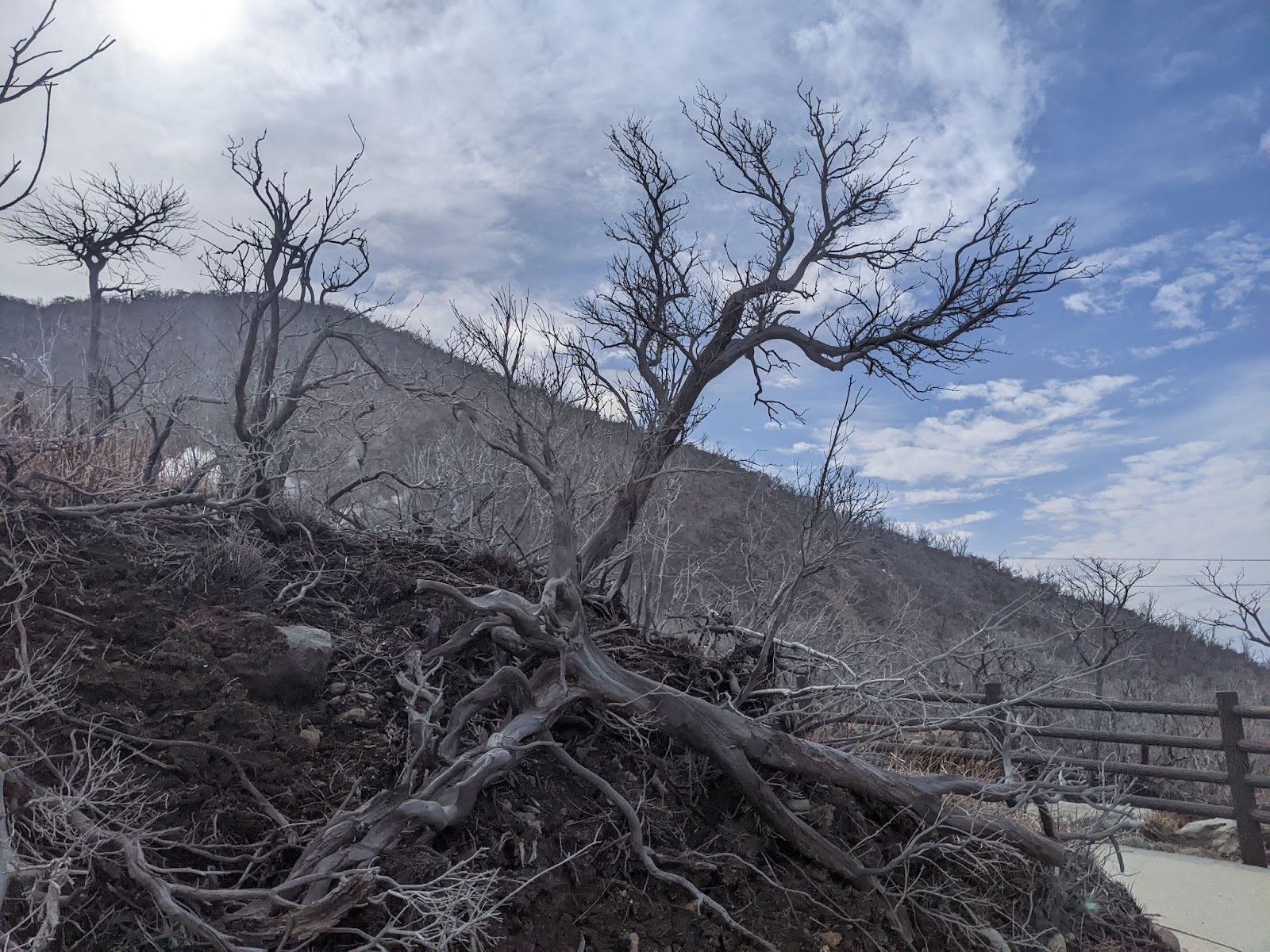 大涌谷火山見学