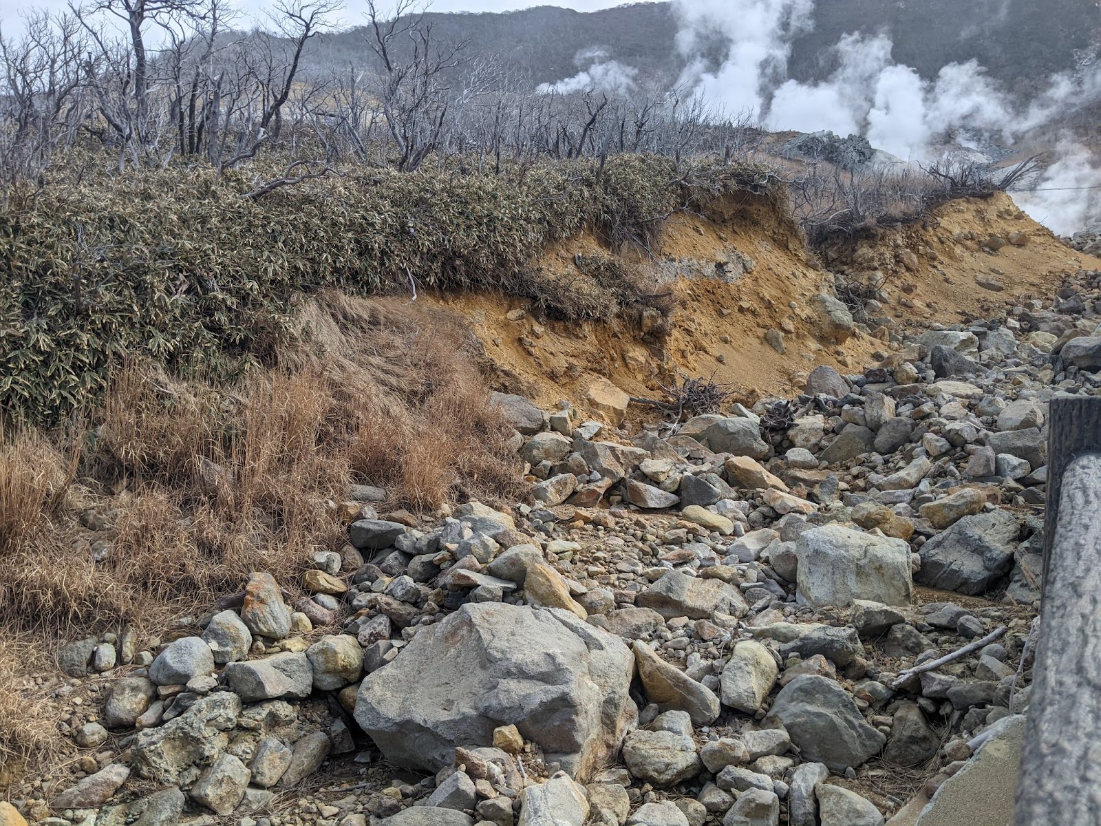大涌谷火山