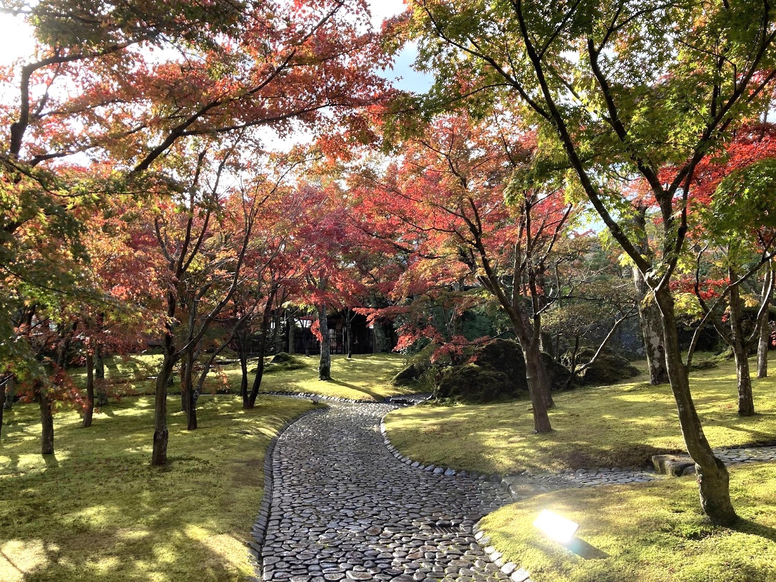 箱根旅行5