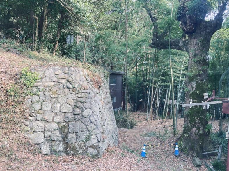 日本平ロープウェイから久能山東照宮