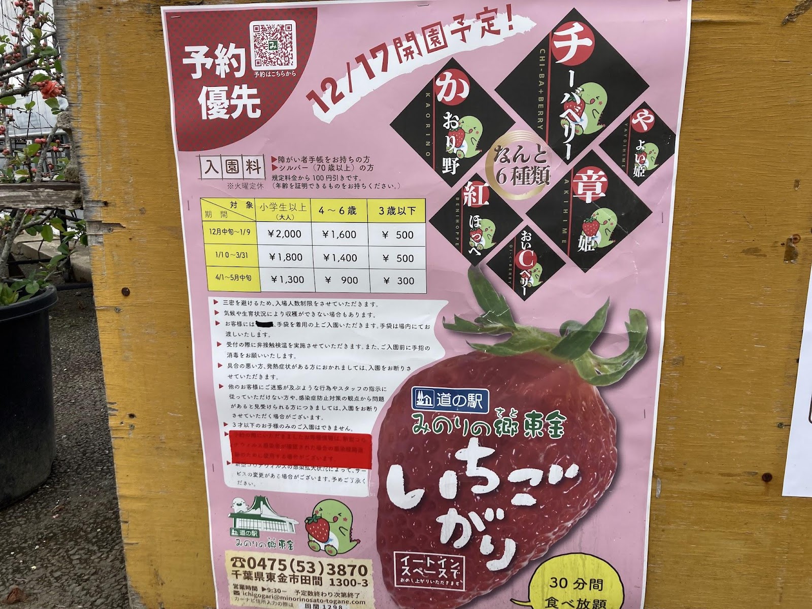 九十九里いちご狩り