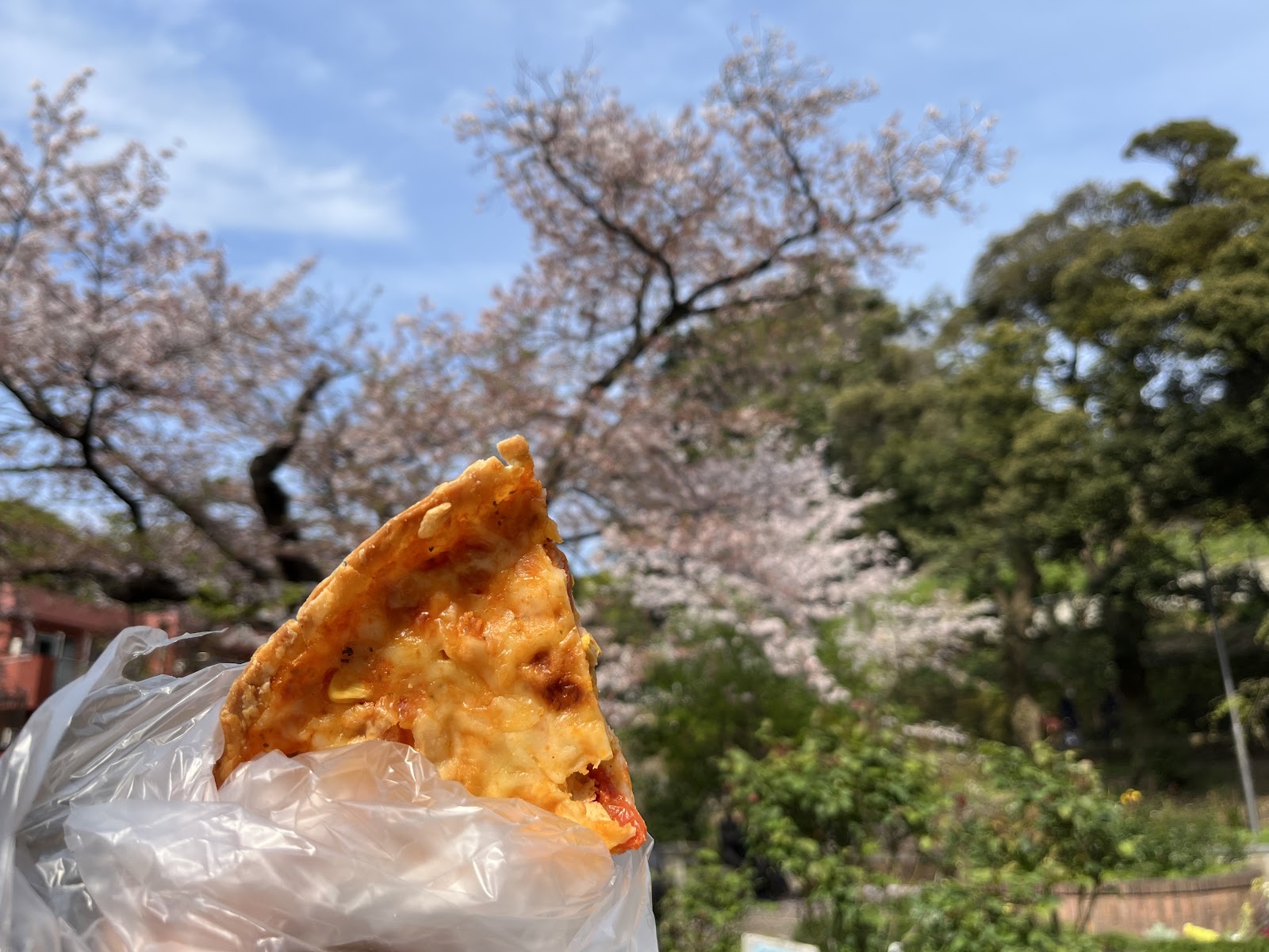 春の元町公園