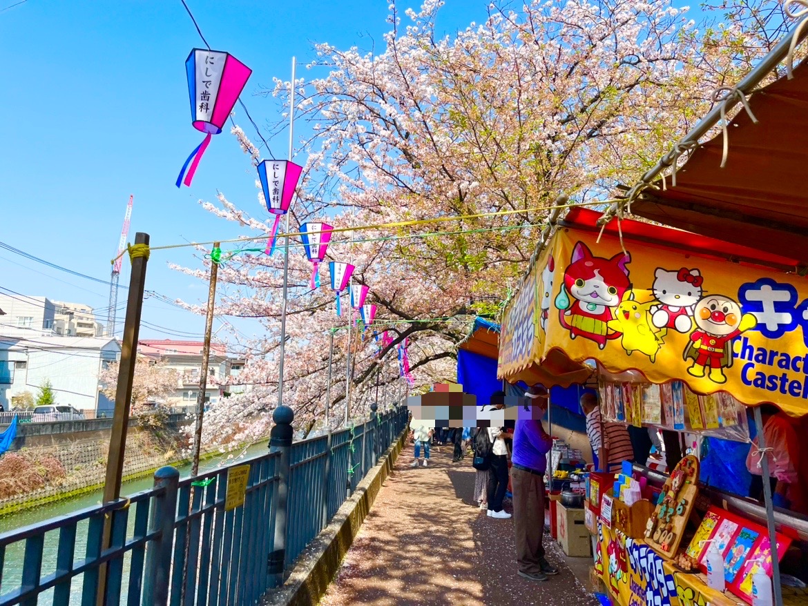 横浜市花見おすすめ