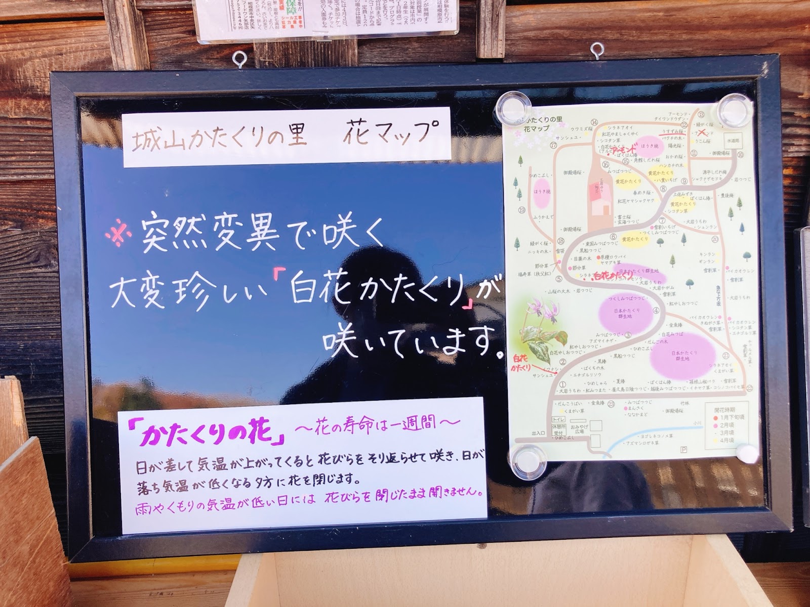 相模原市穴場スポット